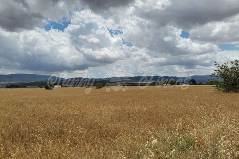 Helårsgrund i Yecla, Murcia, Yecla - € 32.900 | Ref: SF0321 - foto 4